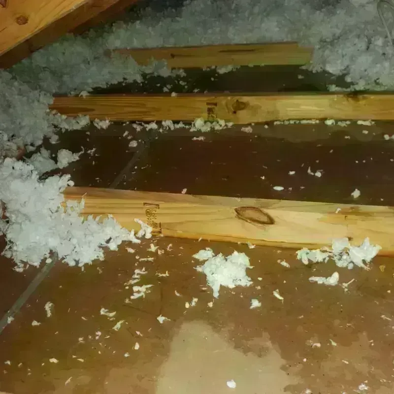 Attic Water Damage in Williams, CA