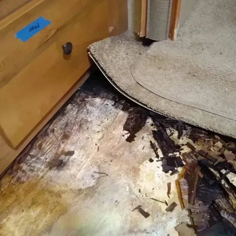 Wood Floor Water Damage in Williams, CA